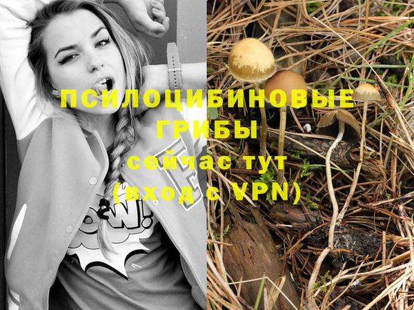 меф Инсар