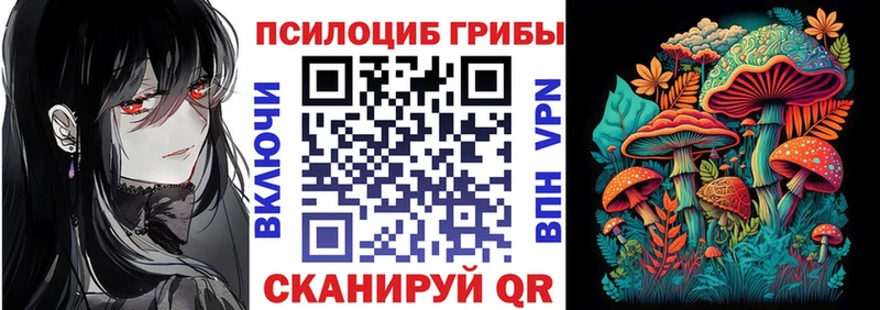 Псилоцибиновые грибы Psilocybe  наркошоп  Нефтекамск 